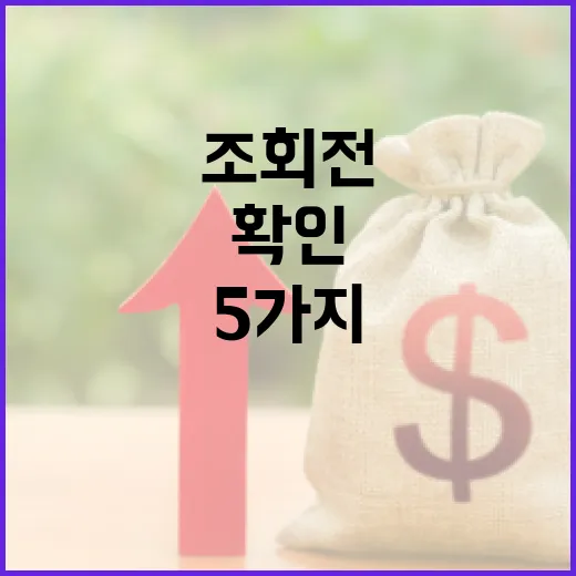 신용조회 전 꼭 확인할 5가지 생활 돈 관리 포인트 - 요약