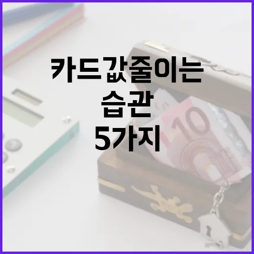 국민카드로 한 달 카드값 줄이는 5가지 가계부 습관 - 요약