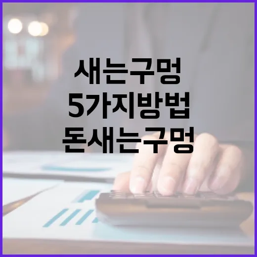신용정보 관리가 돈 새는 구멍을 줄이는 5가지 방법 - 요약