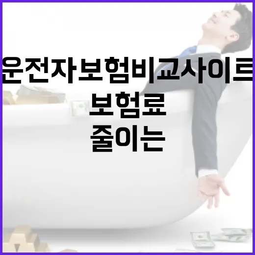 운전자보험비교사이트에서 월 보험료 줄이는 5가지 확인법 - 요약