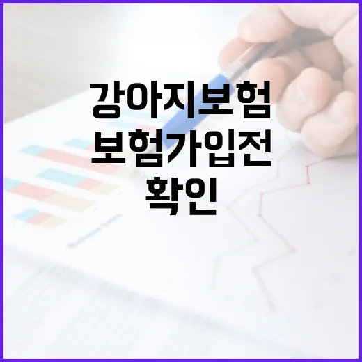 강아지보험 가입 전 가계부에서 먼저 확인할 5가지 숫자 - 요약