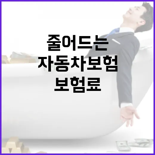 자동차보험비교 할 때 보험료 줄어드는 5가지 확인 순서 - 요약