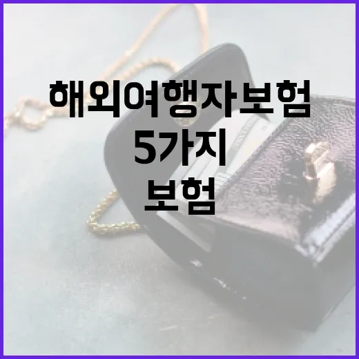 해외여행자보험 고를 때 가계부 기준으로 보는 5가지 체크포인트 - 요약
