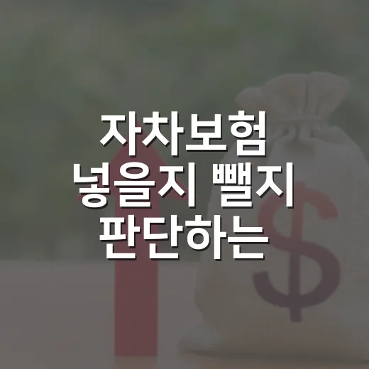 자차보험 넣을지 뺄지 판단하는 5가지 기준 - 요약