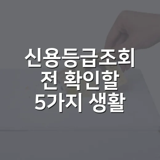 신용등급조회 전 확인할 5가지 생활 돈관리 포인트 - 요약
