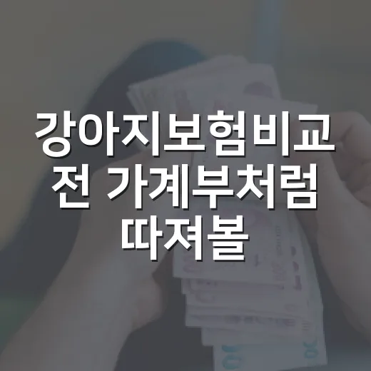 강아지보험비교 전 가계부처럼 따져볼 5가지 기준 - 요약