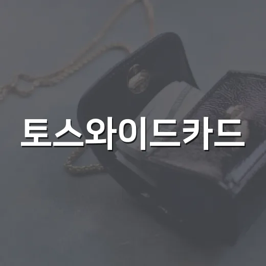 토스와이드카드, 생활비 카드로 따져볼 5가지 숫자 - 요약