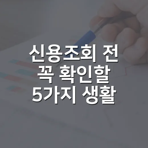 신용조회 전 꼭 확인할 5가지 생활 가계부 기준 - 요약
