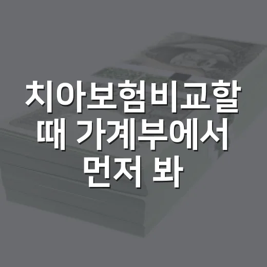 치아보험비교할 때 가계부에서 먼저 봐야 할 5가지 숫자 - 요약