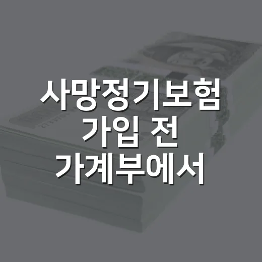 사망정기보험 가입 전 가계부에서 먼저 확인할 5가지 - 요약