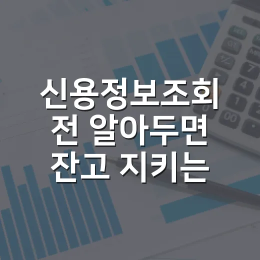 신용정보조회 전 알아두면 잔고 지키는 5가지 기준 - 요약