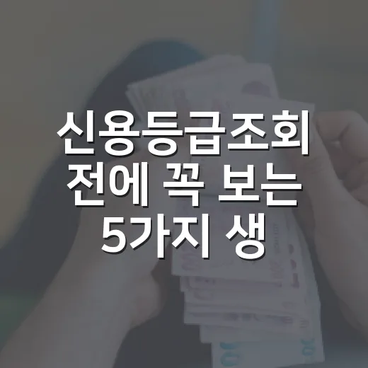 신용등급조회 전에 꼭 보는 5가지 생활 점검표 - 요약