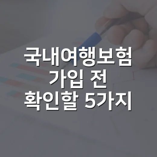국내여행보험 가입 전 확인할 5가지 돈 새는 포인트 - 요약