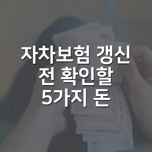 자차보험 갱신 전 확인할 5가지 돈 새는 지점 - 요약