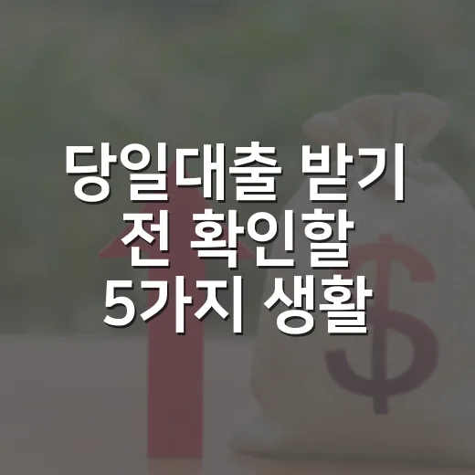 당일대출 받기 전 확인할 5가지 생활 가계부 기준 - 요약