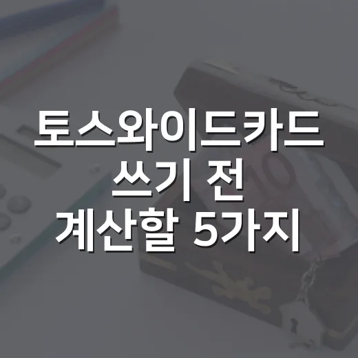 토스와이드카드 쓰기 전 계산할 5가지 생활비 기준 - 요약