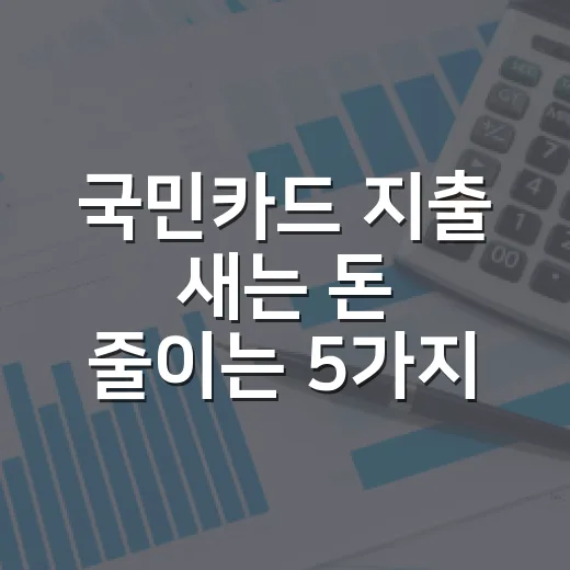 국민카드 지출 새는 돈 줄이는 5가지 가계부 점검법 - 요약