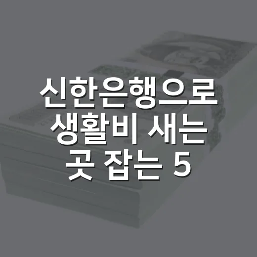 신한은행으로 생활비 새는 곳 잡는 5가지 가계부 루틴 - 요약