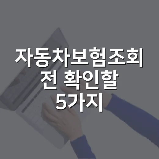 자동차보험조회 전 확인할 5가지, 보험료 아끼는 가계부식 체크법 - 요약