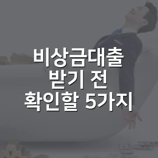 비상금대출 받기 전 확인할 5가지 가계부 숫자 - 요약