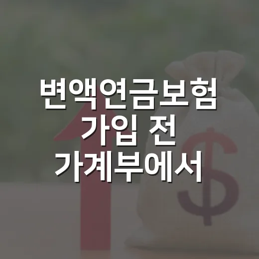 변액연금보험 가입 전 가계부에서 먼저 확인할 5가지 - 요약