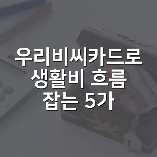 우리비씨카드로 생활비 흐름 잡는 5가지 가계부 습관 - 요약