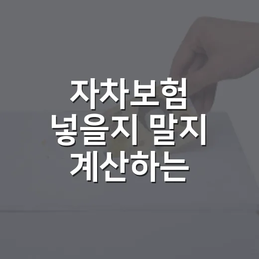 자차보험 넣을지 말지 계산하는 5가지 기준 - 요약