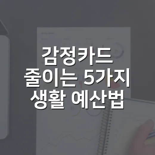 감정카드 줄이는 5가지 생활 예산법 - 요약
