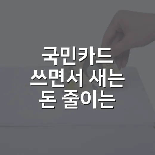 국민카드 쓰면서 새는 돈 줄이는 5가지 가계부 점검법 - 요약