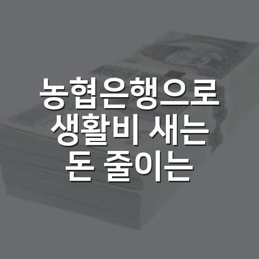 농협은행으로 생활비 새는 돈 줄이는 5가지 가계부 루틴 - 요약