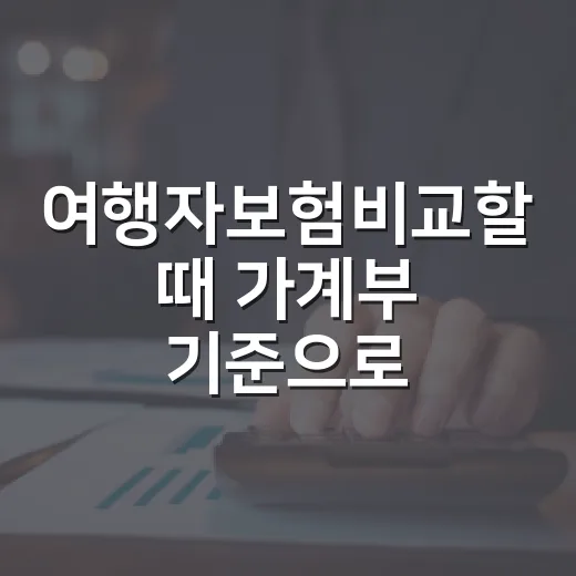여행자보험비교할 때 가계부 기준으로 보는 5가지 체크포인트 - 요약