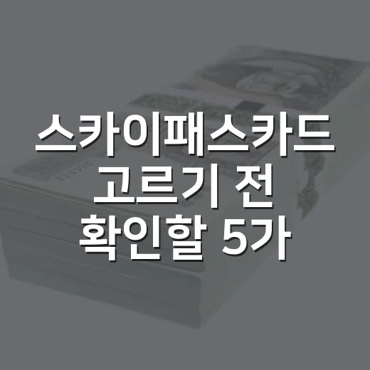 스카이패스카드 고르기 전 확인할 5가지 가계부 기준 - 요약
