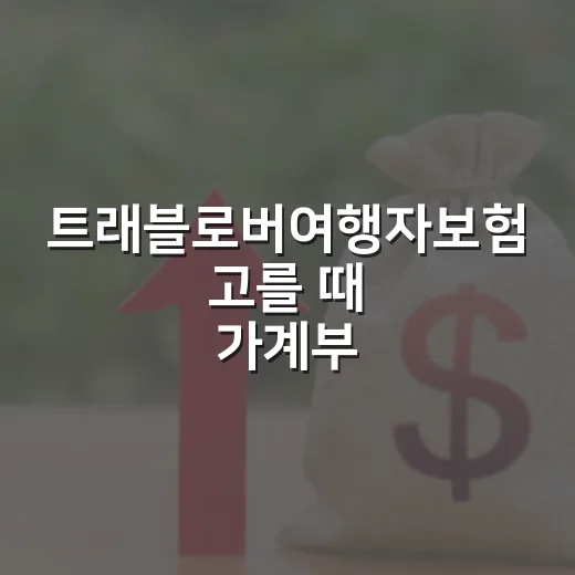 트래블로버여행자보험 고를 때 가계부 기준으로 보는 5가지 체크포인트 - 요약