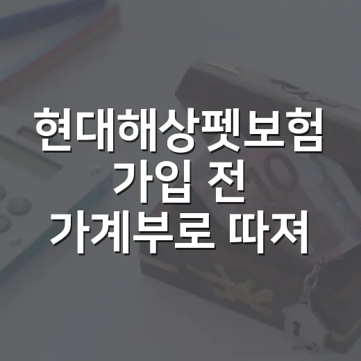 현대해상펫보험 가입 전 가계부로 따져볼 5가지 - 요약