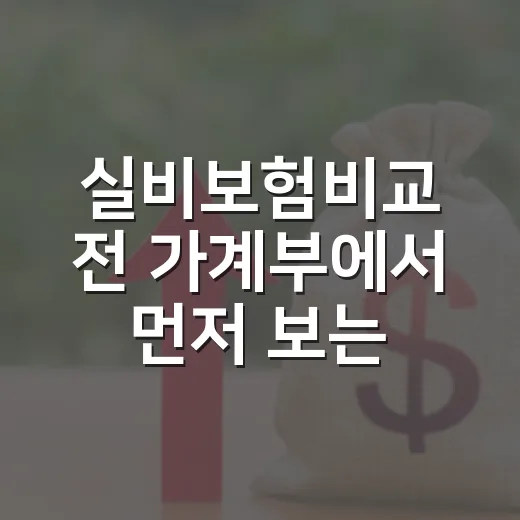 실비보험비교 전 가계부에서 먼저 보는 5가지 기준 - 요약