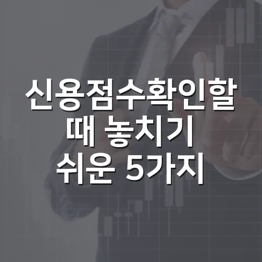 신용점수확인할 때 놓치기 쉬운 5가지 생활 기준 - 요약