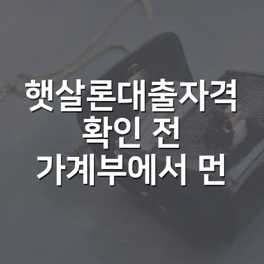 햇살론대출자격 확인 전 가계부에서 먼저 봐야 할 5가지 - 요약