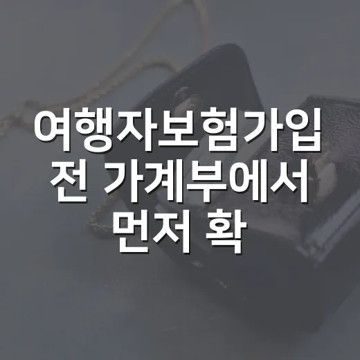 여행자보험가입 전 가계부에서 먼저 확인할 5가지 - 요약