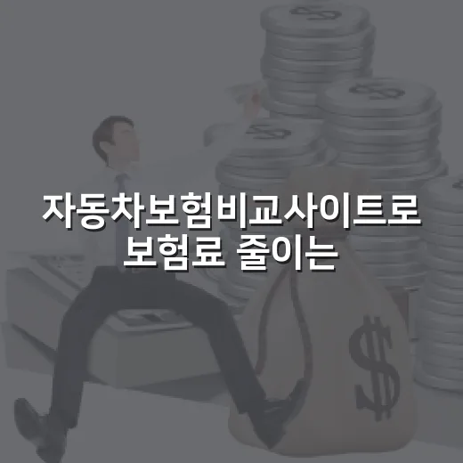 자동차보험비교사이트로 보험료 줄이는 5가지 확인 순서 - 요약