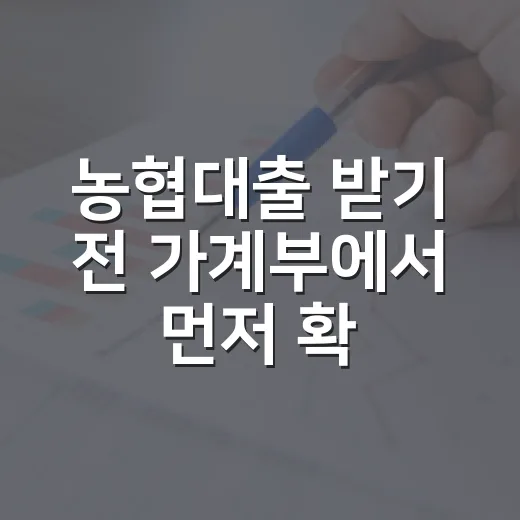 농협대출 받기 전 가계부에서 먼저 확인할 5가지 숫자 - 요약