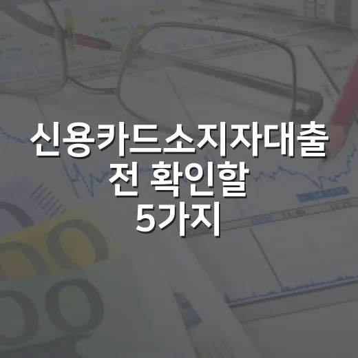신용카드소지자대출 전 확인할 5가지 가계부 기준 - 요약