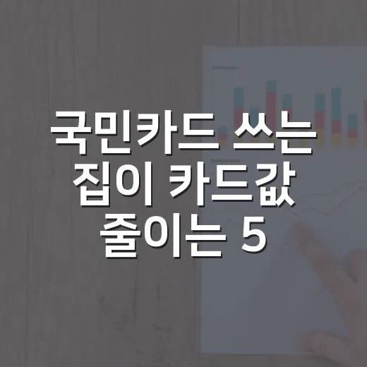 국민카드 쓰는 집이 카드값 줄이는 5가지 점검법 - 요약