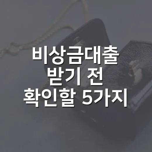 비상금대출 받기 전 확인할 5가지 생활비 기준 - 요약