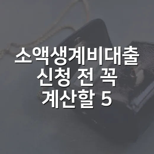 소액생계비대출 신청 전 꼭 계산할 5가지 - 요약