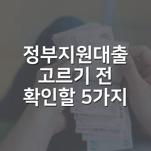 정부지원대출 고르기 전 확인할 5가지 숫자 - 요약