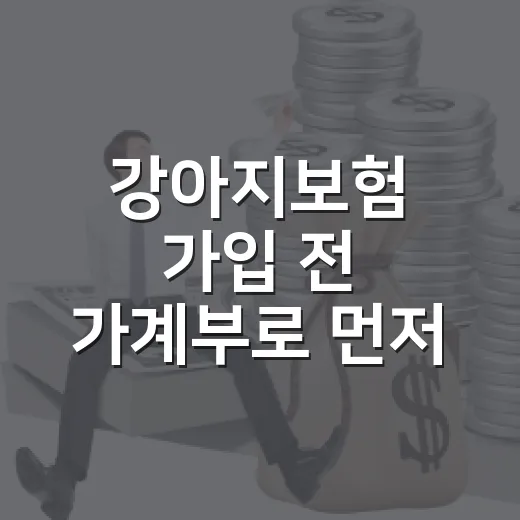 강아지보험 가입 전 가계부로 먼저 계산할 5가지 기준 - 요약