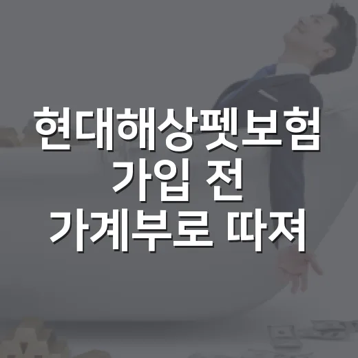 현대해상펫보험 가입 전 가계부로 따져볼 5가지 기준 - 요약