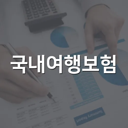 국내여행보험, 꼭 알아야 할 5가지 포인트 - 요약