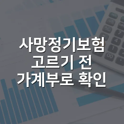 사망정기보험 고르기 전 가계부로 확인할 5가지 기준 - 요약