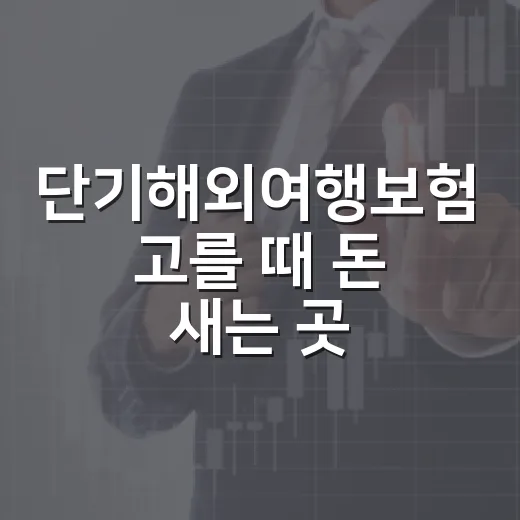 단기해외여행보험 고를 때 돈 새는 곳 막는 5가지 기준 - 요약